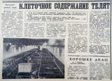 Сельское хозяйство Ростовской области на страницах газеты Молот