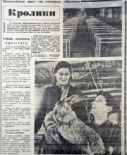 Сельское хозяйство Ростовской области на страницах газеты Молот