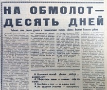 Сельское хозяйство Ростовской области на страницах газеты Молот