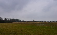 Наводнение в лесах Елизаветинского острова