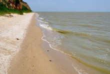 Берег Таганрогского залива между поселком Приазовский и хутором Рожок