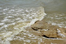 Берег Таганрогского залива между поселком Приазовский и хутором Рожок