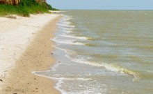 Берег Таганрогского залива между поселком Приазовский и хутором Рожок