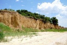 Берег Таганрогского залива между поселком Приазовский и хутором Рожок