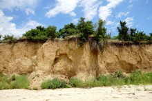 Берег Таганрогского залива между поселком Приазовский и хутором Рожок