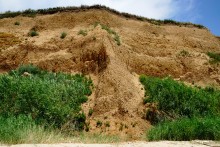 Берег Таганрогского залива между поселком Приазовский и хутором Рожок