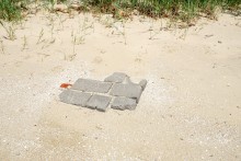 Берег Таганрогского залива между поселком Приазовский и хутором Рожок