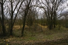 Междуречье Маныча и Сала