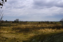 Междуречье Маныча и Сала