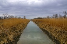 Междуречье Маныча и Сала