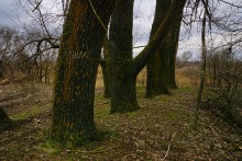 Междуречье Маныча и Сала