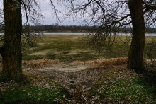 Вокруг станицы Усть-Быстрянской по берегу Северского Донца и Кундрюченским пескам