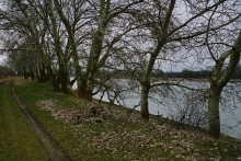 Вокруг станицы Усть-Быстрянской по берегу Северского Донца и Кундрюченским пескам