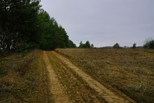 Вокруг станицы Усть-Быстрянской по берегу Северского Донца и Кундрюченским пескам