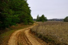 Вокруг станицы Усть-Быстрянской по берегу Северского Донца и Кундрюченским пескам