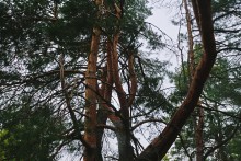 Вокруг станицы Усть-Быстрянской по берегу Северского Донца и Кундрюченским пескам