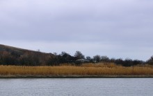 Вокруг станицы Усть-Быстрянской по берегу Северского Донца и Кундрюченским пескам