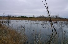 Вокруг станицы Усть-Быстрянской по берегу Северского Донца и Кундрюченским пескам