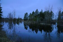 Вокруг станицы Усть-Быстрянской по берегу Северского Донца и Кундрюченским пескам