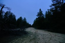 Вокруг станицы Усть-Быстрянской по берегу Северского Донца и Кундрюченским пескам