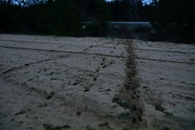 Вокруг станицы Усть-Быстрянской по берегу Северского Донца и Кундрюченским пескам