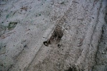 Вокруг станицы Усть-Быстрянской по берегу Северского Донца и Кундрюченским пескам