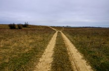 Вокруг станицы Усть-Быстрянской по берегу Северского Донца и Кундрюченским пескам