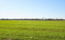 Колодец в долине Кагальника