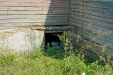 Старый курень в хуторе Нижнежуравском