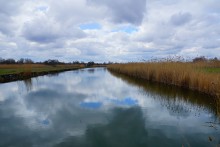 Путешествие в Масленицу по станицам Кагальницкая, Мечётинская, Багаевская, Бессергеневская, Мишкинская