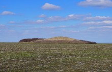 Поздняя весна