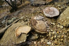 Красные скалы на реке Быстрой