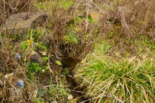 Красные скалы на реке Быстрой