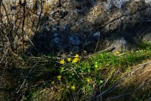 Грядная гора на реке Быстрой