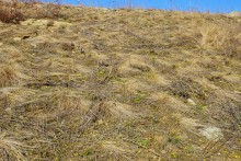 Грядная гора на реке Быстрой