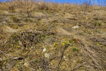 Грядная гора на реке Быстрой