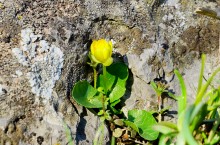 Грядная гора на реке Быстрой