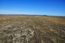 Грядная гора на реке Быстрой