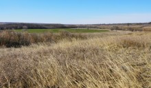 Путешествуя между зимой и весной по Донецкому кряжу. 