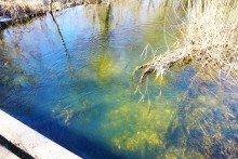 Путешествуя между зимой и весной по Донецкому кряжу. 