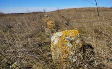 Путешествуя между зимой и весной по Донецкому кряжу. 
