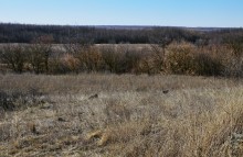 Путешествуя между зимой и весной по Донецкому кряжу. 