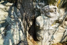 Петроглифы в кварцитовой пещере на Донецком кряже