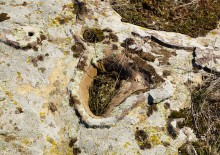 Петроглифы в кварцитовой пещере на Донецком кряже