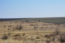 Петроглифы в кварцитовой пещере на Донецком кряже