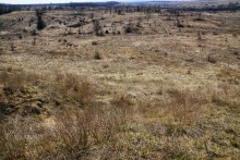 Окопы и блиндаж оставшиеся с Великой Отечественной Войны