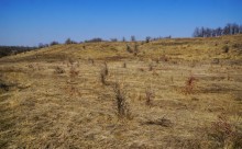 Окопы и блиндаж оставшиеся с Великой Отечественной Войны