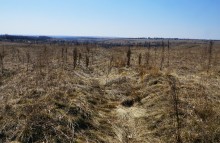 Окопы и блиндаж оставшиеся с Великой Отечественной Войны