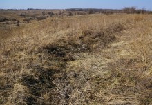 Окопы и блиндаж оставшиеся с Великой Отечественной Войны