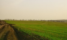 Весенние впечатления 2022